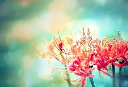 米兰网址 -婳[![:"癝.a?}E磀萲XL?棩2Eg?H++?w獏稄炲?銙b,W缄HC笈O??:??緺虬晩梣闘k"R燃(j7auwh2q50tcz00给心心)